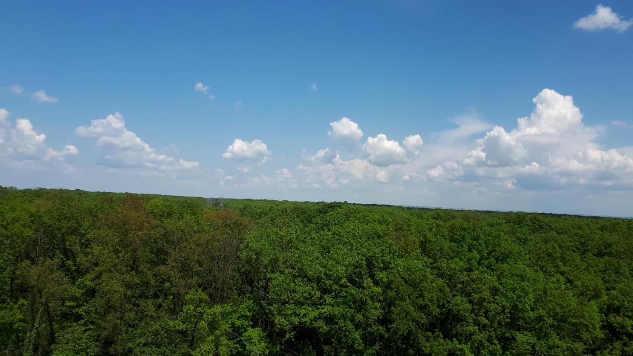 Foresthouse 2 Тимишоара Екстериор снимка