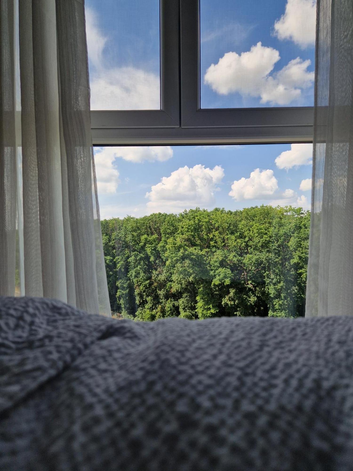 Foresthouse 2 Тимишоара Екстериор снимка